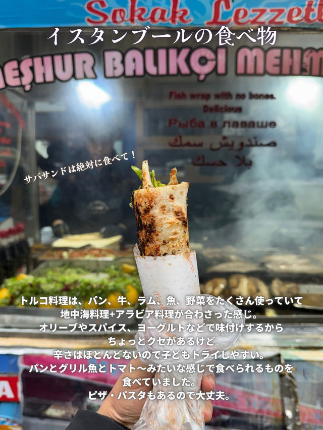 イスタンブール3泊4日の旅程とポイント【子連れトルコ】