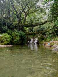🌿 A Journey Through the Clouds: My Trip to Meghalaya