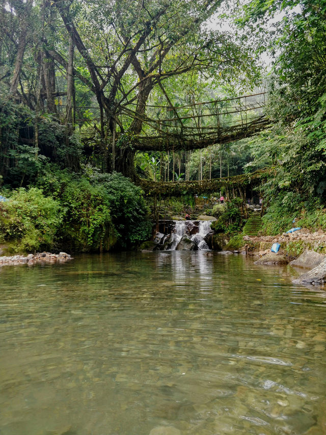 🌿 A Journey Through the Clouds: My Trip to Meghalaya