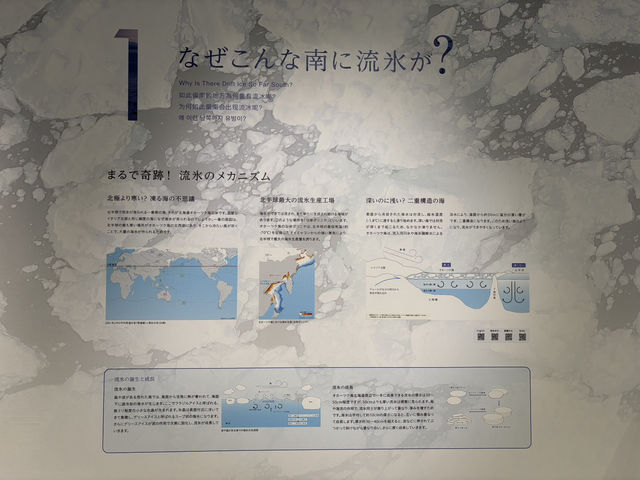 【北海道】年中流氷を触れる場所【オホーツク流氷館】