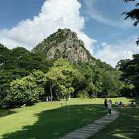 ร้าน Mulberry Mellow (มัลเบอร์รี่ เมลโล่)