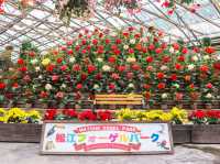 【島根県】 湖畔に広がる花と鳥のテーマパーク『松江フォーゲルパーク』🦉