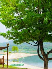 A Peaceful Getaway: My Visit to Daejeon Meditation Garden