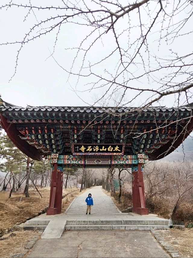 아이와 영주역사여행 [영주 부석사]