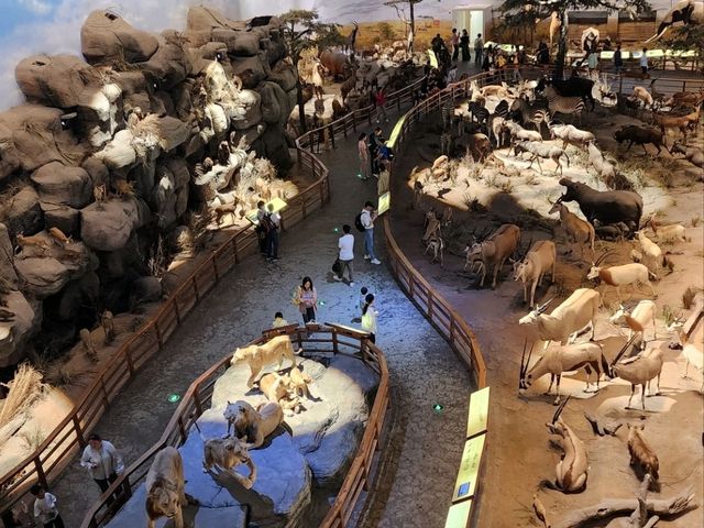 Shanghai natural history museum