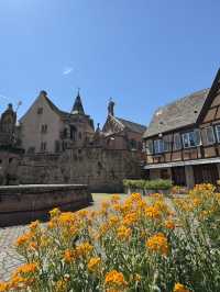 An unforgettable solo trip in Colmar 