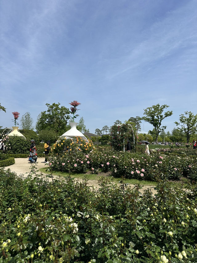 사계절 야외데이트 장소로 딱인 ’순천만국가정원’ 🌸🌿