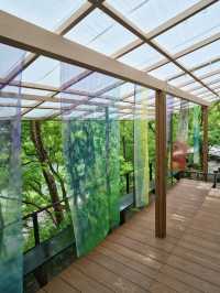 【雨でも楽しめる室内絶景】「水鏡」の絶景に息をのむ🌿💧✨※周辺観光情報付