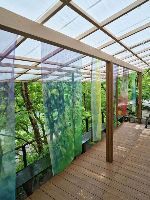 【雨でも楽しめる室内絶景】「水鏡」の絶景に息をのむ🌿💧✨※周辺観光情報付