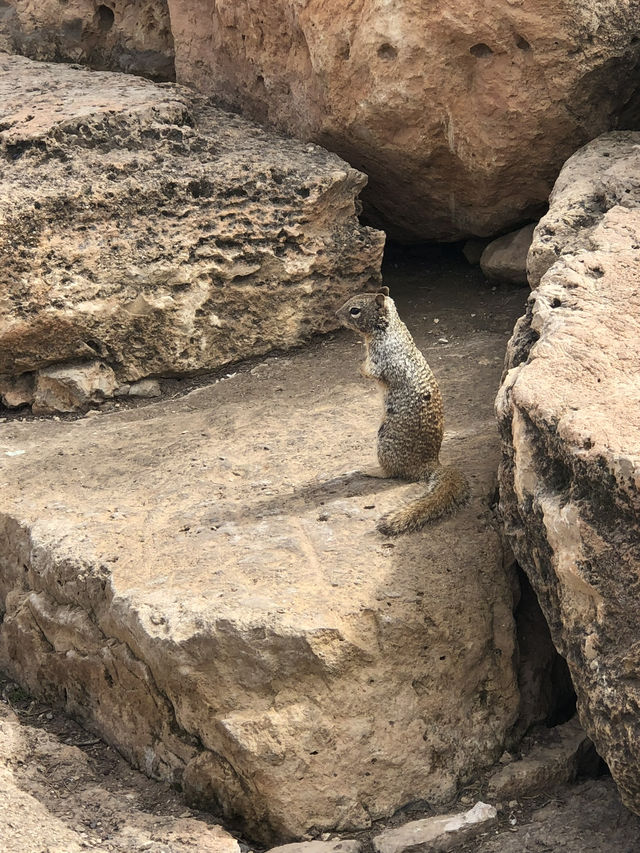 Nothing Can Prepare You For Just How Grand The Grand Canyon! 