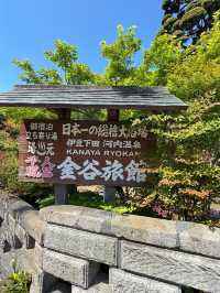 【伊豆 蓮台寺温泉】日本一の総檜風呂!!千人風呂✨混浴温泉の心得