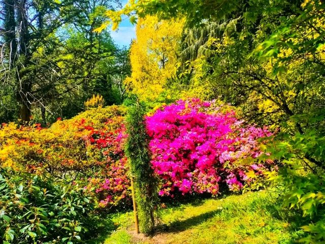 Where Spring Hides in Petals – Fletcher Moss Botanical Garden