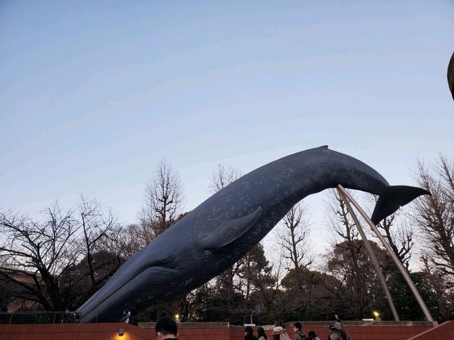 大人も楽しい科博🎵
