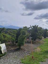 九州熊本阿蘇得意迷你景點~千羽鶴鹿公園