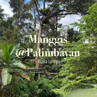 🌿 Escape Into Nature – Without Leaving KL!