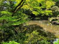 Kotohiragū – Climbing to the Spirit of the Sea