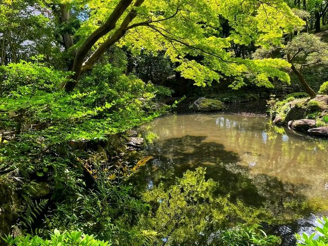 Kotohiragū – Climbing to the Spirit of the Sea