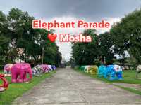 Elephant Parade ❤️ Mosha