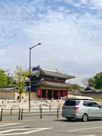 서울 핫플 여행지 모아봄 🇰🇷🍜🍗