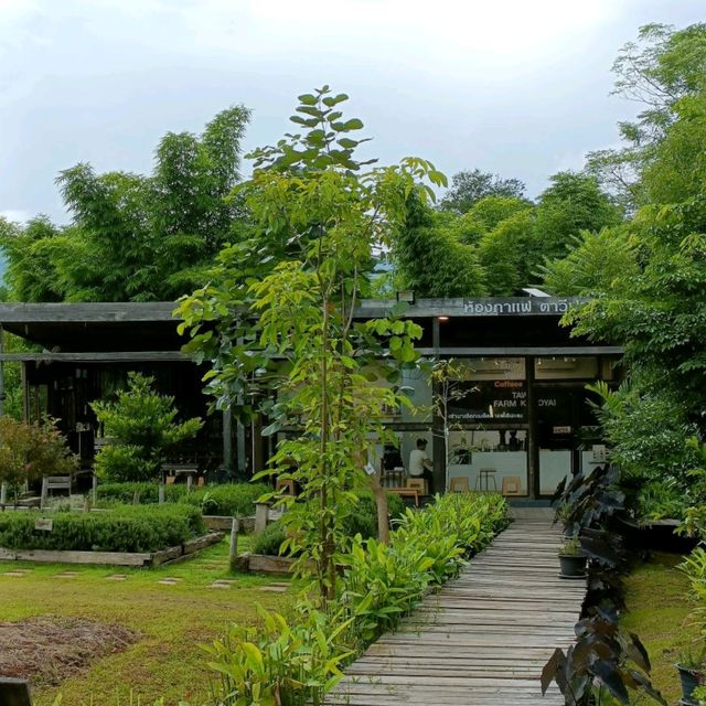 ตาวีฟาร์ม ปากช่อง นครราชสีมา