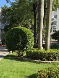 想不到深圳中山公園是這麼吸引的！！