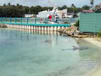 Gold Coast Theme Parks any good now? 