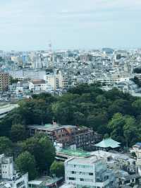 【東京都北区赤羽の自然と清い滝・文化の融合したローカル遊歩道】