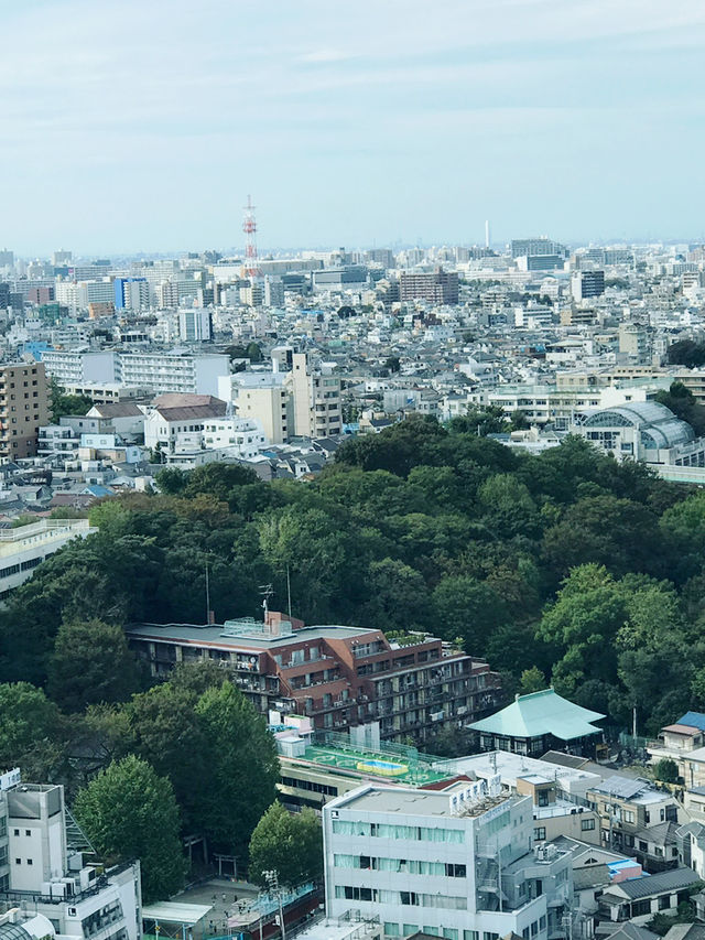 【東京都北区赤羽の自然と清い滝・文化の融合したローカル遊歩道】