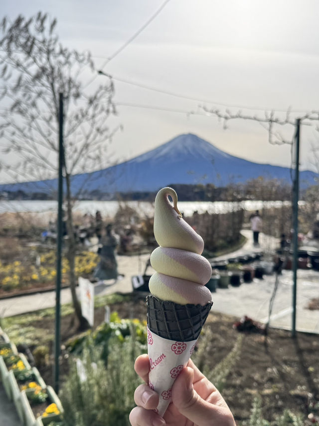 一日行程體驗🗻富士山🗻