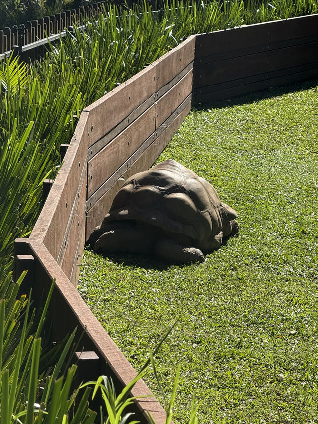 Australia Zoo is just a popular choice