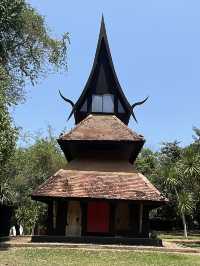 A budget trip to Baan Dam Museum in Chiang Rai👬👍💐😎