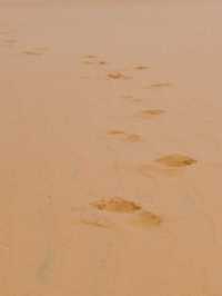 Sun, Sand Dunes & Serenity in Mui Ne