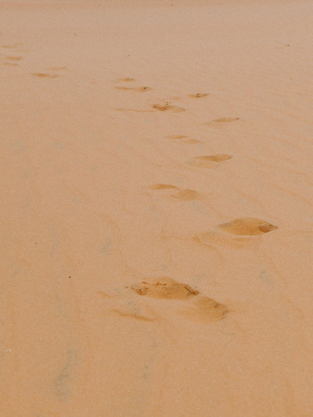 Sun, Sand Dunes & Serenity in Mui Ne