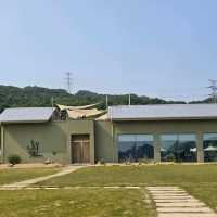 👍👗아산 샤스타데이지 카페 카페지새울