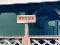 眺望鯉魚潭，另一個花蓮林業大基地，散步好去處！