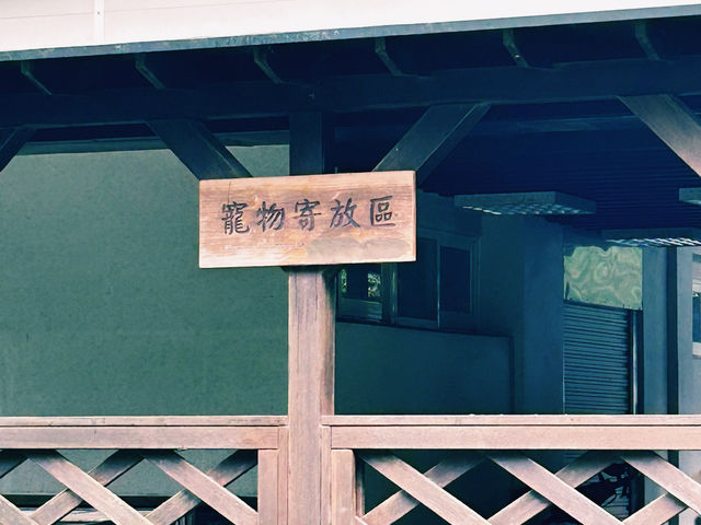 眺望鯉魚潭，另一個花蓮林業大基地，散步好去處！