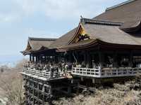 🍵 京都旅行 攻略ガイド｜伝統と感性が息づく街