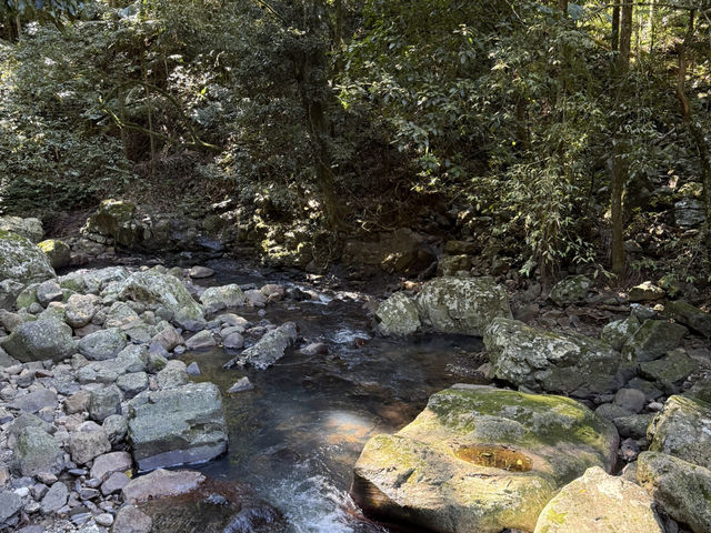 Best of all lookout - The Springbrook National Park