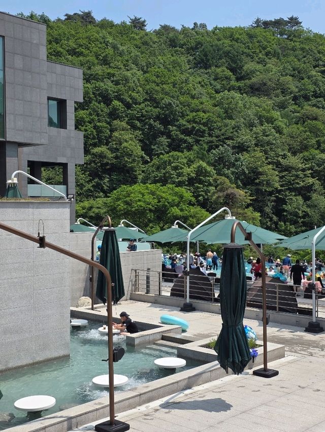하늘과 숲을 품은 힐링 오아시스