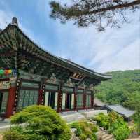 Hyangjok-san Hike