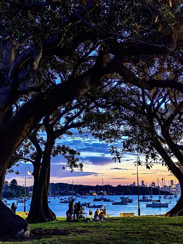 ออสเตรเลีย🇦🇺