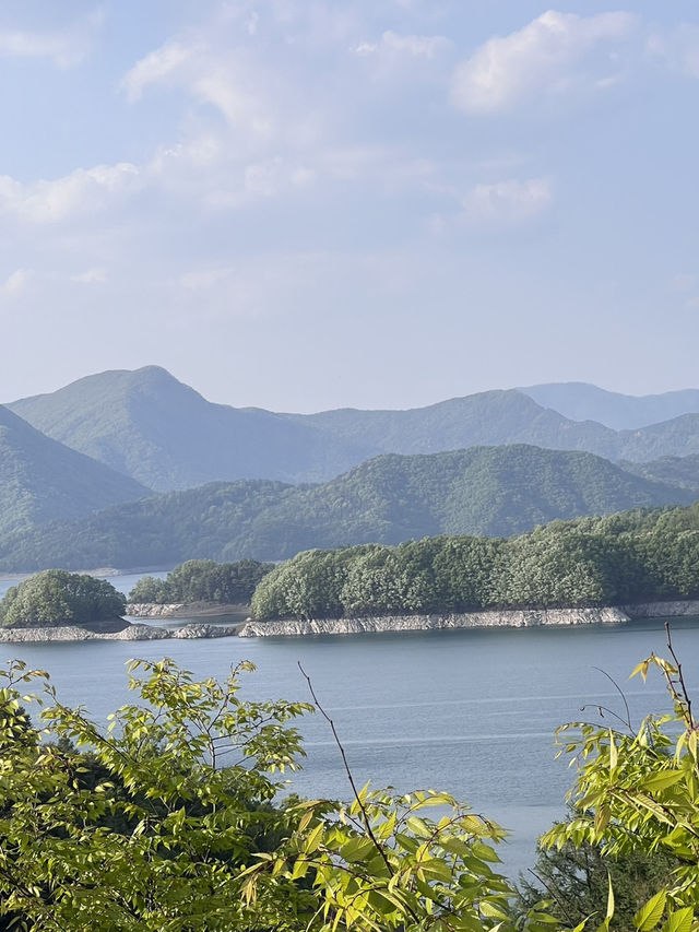 충주 당일치기 여행코스🩶🐊