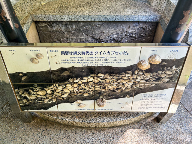【東京都】 日本史の教科書でお馴染み！日本考古学発祥の地『大森貝塚』