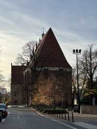 Cathedrals with blue onion cap in Poznan 