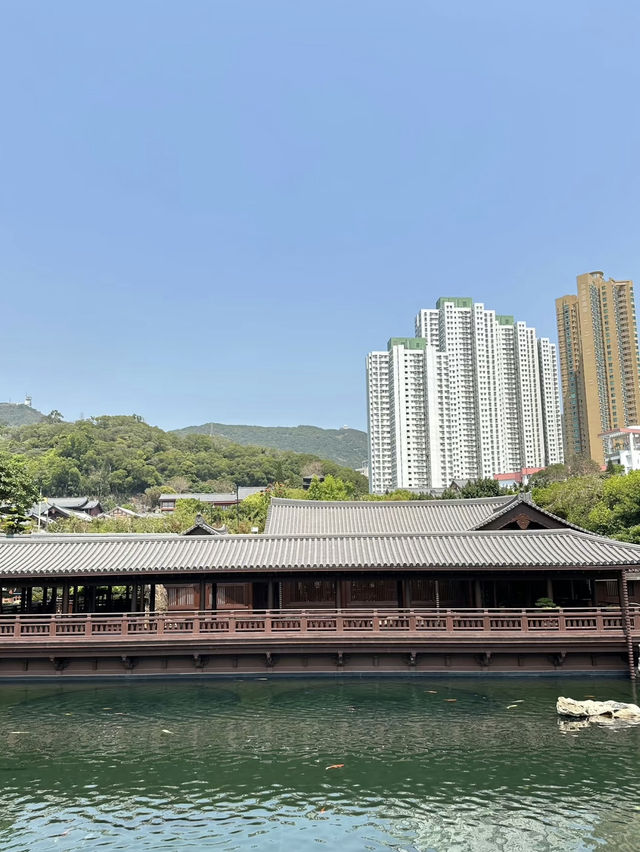 A Tranquil and Budget-Friendly Oasis – Nan Lian Garden, Hong Kong