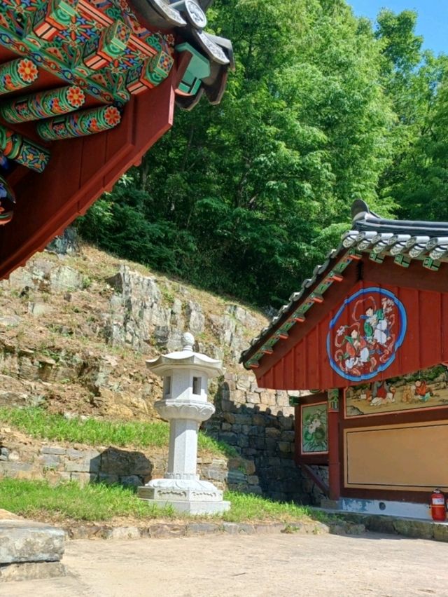초록숲 속 힐링 산책, 장춘사로 떠나요🌿