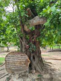 The Killing Fields: A Haunting Reminder of Cambodia’s Past