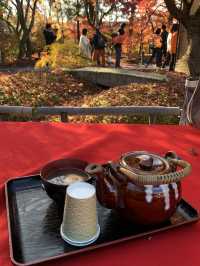 【京都🇯🇵】紅葉🍁が美しい秋の永観堂へ