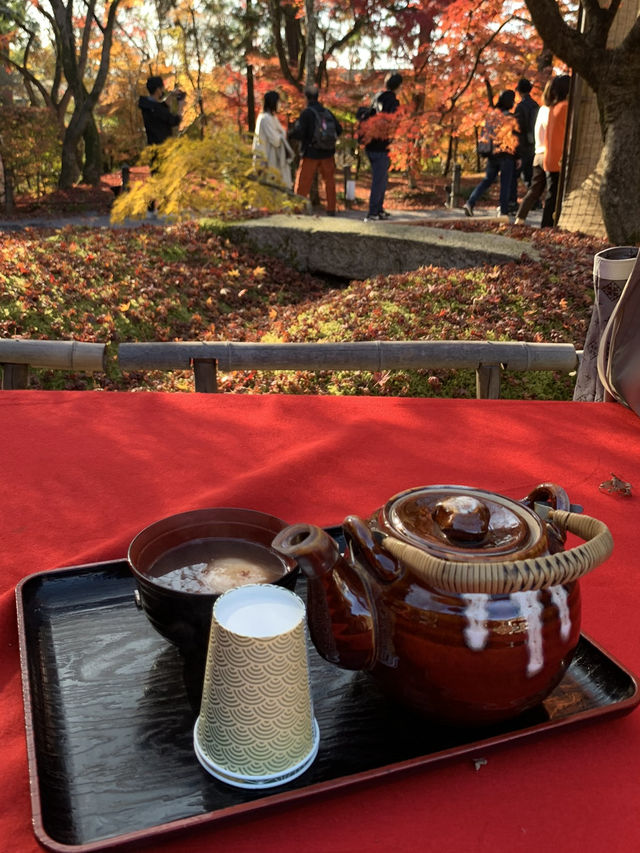 【京都🇯🇵】紅葉🍁が美しい秋の永観堂へ