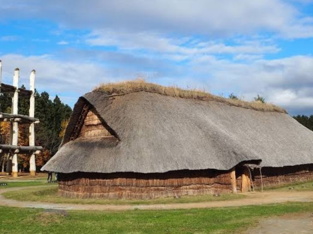 🎯【青森・三内丸山遺跡】1万年以上前の鼓動が響く、縄文の森でタイムスリップ体験